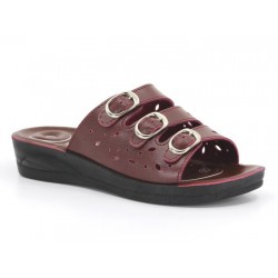 Daye Women 3114 Anatomical Three Buckle Daily Slipper